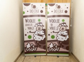 woolee.hrOtvorenje tvornice web-5
