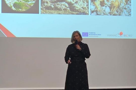 HAMAG-BICRO organizirao najveće pitch natjecanje u Hrvatskoj